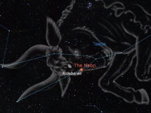 taurus constellation