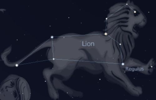 78200c7ef0_constellation-lion-04