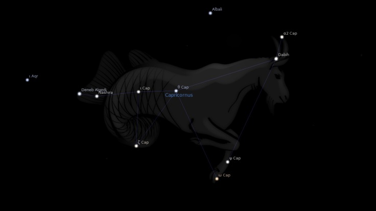 constellation-capricorn