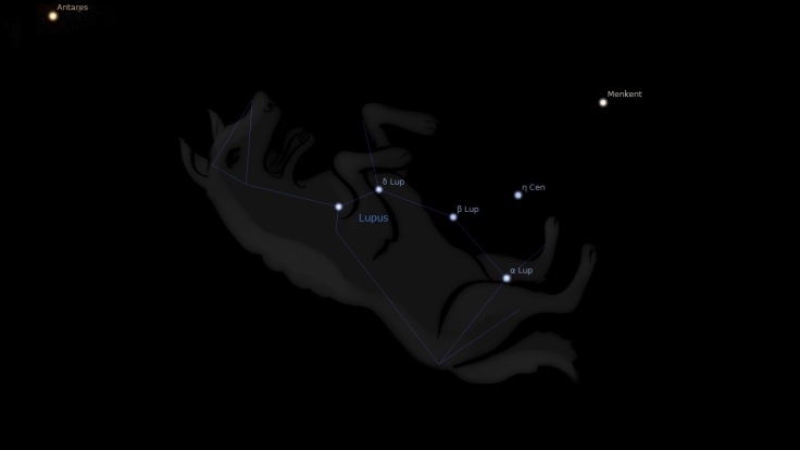 constellation-lupus